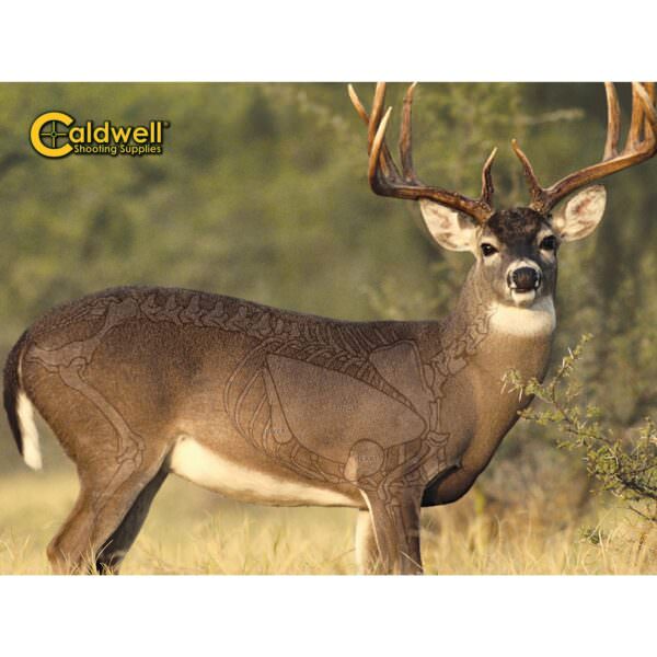 caldwell_the_natural_series_whitetail_deer_target_bf234412__1.jpg