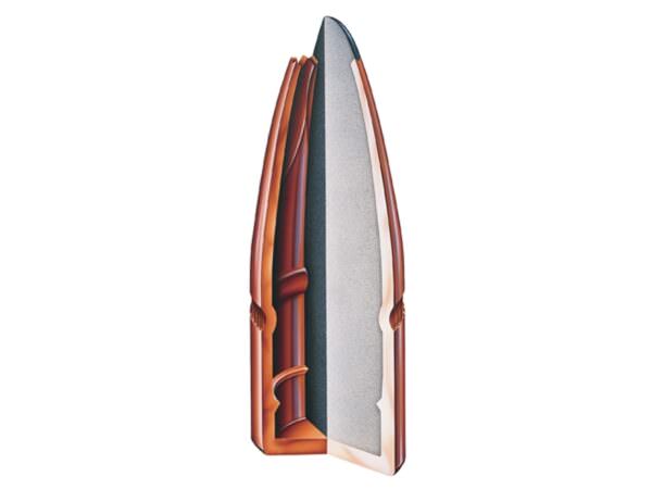 hornady_fp_45_cal_350grn_100_pack_horn-4503_1.jpg
