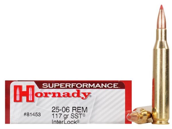 hornady_ammunition_25-06_rem_117grn_sst_spf_horn-81453_1.jpg