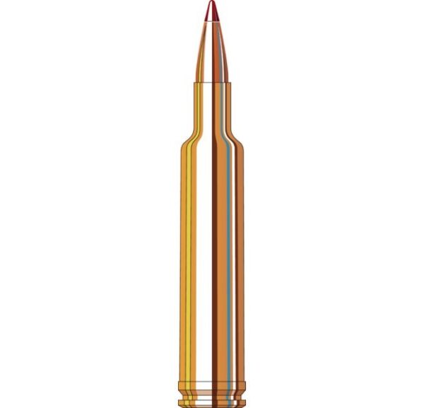 hornady_ammunition_257_wby_mag_110_grn_eld-x_20_pack_horn-81364__2_1.jpg