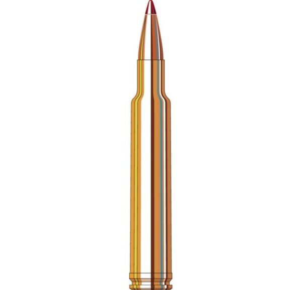 hornady_ammunition_300_wby_mag_200_grn_eld-x_20_pack_horn-82213__1.jpg