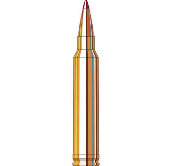 hornady_ammunition_300_win_mag_200grn_eld-x_horn-82002__1.jpg